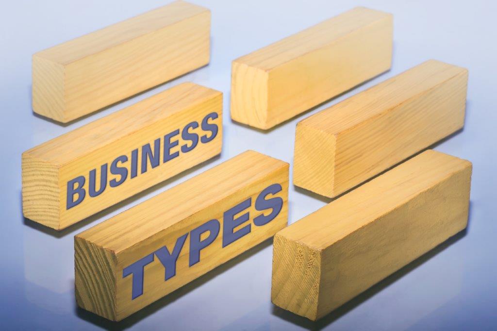 The words Business and Types printed on Jenga block