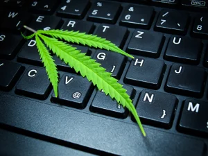 Cannabis online
